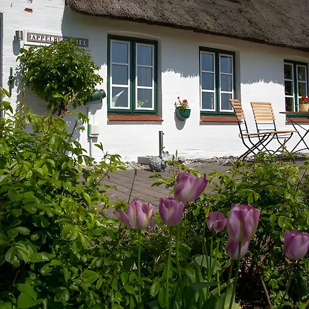 Ferienwohnugen Appelhus