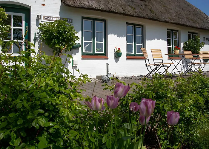 Ferienwohnugen Appelhus